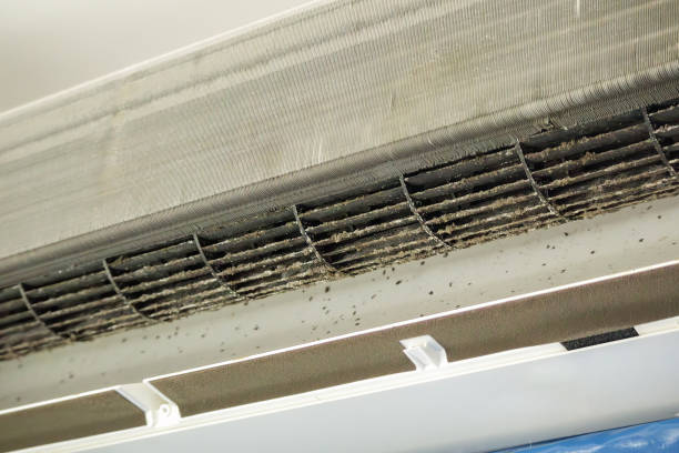 Home Air Vent Cleaning in Mills River, NC